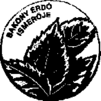 Kiírás